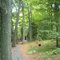 Lemoine Point
