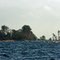Birds, Brother-Island, Lake Ontario