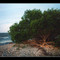 Lake Winnipeg North of Gimli