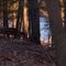 Trailside photo, Lightning bend city park