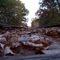 choo choo down the fall tracks