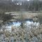 Wetlands