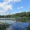 Clear Lake