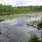 Mud Lake (Flat River SGA, MI)