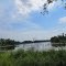 Rosa Lake