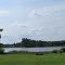 Pearl Lake, Sheridan, MI