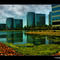 Redwood Shores - Oracle