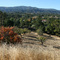 Los Altos Hills, California