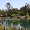 Spring in Sharon Park, Menlo Park, California