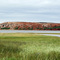 Ile  rouge près du pont de Hâvre-aux-maisons