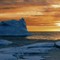 On the Shores of Grise Fiord