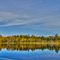pond with trout