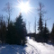 Snowshoeing on a beautiful winter day. Photo by Nathalie.