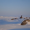 Honeymoon Island, Northwest Passage