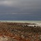 Arctic Ocean from King William Island
