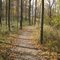 Monarch Trail - Dundas