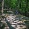 Single track