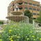 spring fountain