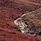 Tundra in September
