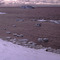Winter comes to Eclipse Sound (Sept.)