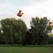 Les abeilles "Joey and Lilly" survolent le Club de golf de St-Jean-sur-Richelieu