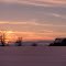 Sun set over snowy pasture