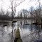 In the Lackner Woods