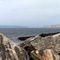 La Baie de Wakeham