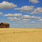 Old Grain Bins, Saskatchewan