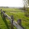Line of Fence