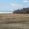 Golden Shorlines And Serene Wooded Shores On Lac La Biche AB, Northeast of Edmonton Apr '11