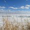 Contrasting Golden Grass, Blue Sky And White Ice And Snow On Serene Lac La Biche At Sir Winston Churchill Park, Lac La Biche AB Mar '12
