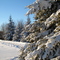 Winter in Bud Miller Park