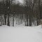 Hardwood Hills - Harry's Hollow