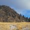Contrasting Brown, Green, Gold, White And Blue Looking Up To The Summit Of Black Knight Mountain (1280m) Above Kelowna BC Dec '11