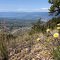 Kelowna & Okanagan Lake, WSW from here
