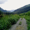 White Rock Creek Valley