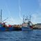 Mary's Harbour Crab Boats