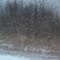tempete r