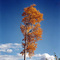 Indian Summer at Dinosaur Lake