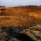 Nachusa Grasslands