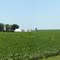 Farmland west of Franklin Grove IL