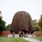 Philip Johnson's Roofless Church, New Harmony, Indiana