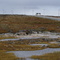 Route de l'aéroport d'Inukjuak