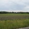 Cottonwood river flood plain
