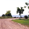 Pelee Island Stone Rd.
