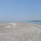 Southern tip of Pelee Island looking north.