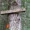 fern falls sign