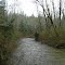 Cable Trail
