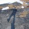 Shadow me